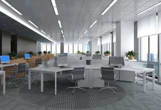 江苏果蔬净化机代理商