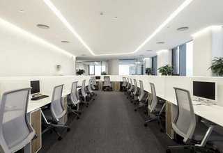 浙江柱子植物墙养护