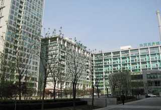 女士洗发乳产品