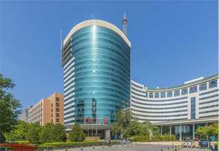 太仓建筑松木木方定制