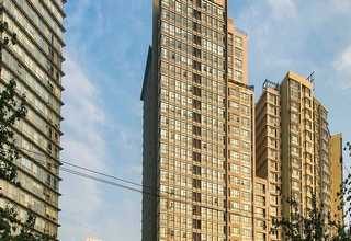 山东甜白葡萄酒促销价格